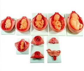 孕前檢查做不做效果不一樣