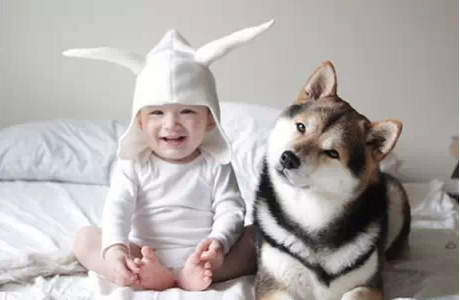 準(zhǔn)媽媽要懷孕 汪星人喵星人何去何從  西安安琪兒婦產(chǎn)醫(yī)院