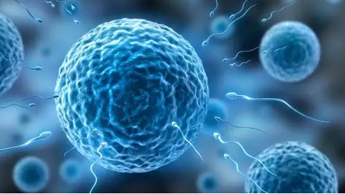 懷孕也看“長相”，精子不好看，卵子不接受   西安安琪兒婦產(chǎn)醫(yī)院