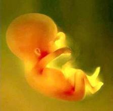 西安安琪兒婦產(chǎn)醫(yī)院