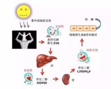 母乳寶寶維生素D該怎么補(bǔ)？現(xiàn)在揭曉