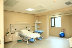 <b>LDR一體化產(chǎn)房</b>