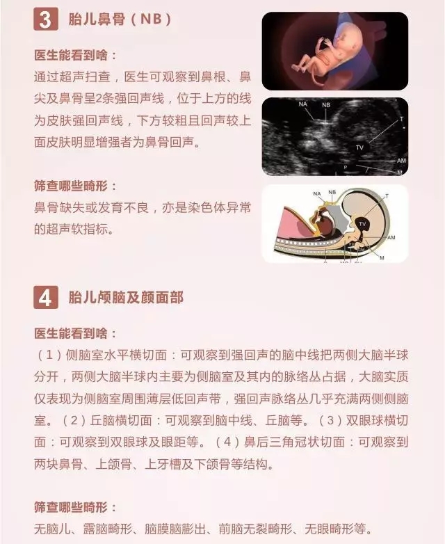 西安安琪兒婦產(chǎn)醫(yī)院 西安安琪兒婦產(chǎn)醫(yī)院