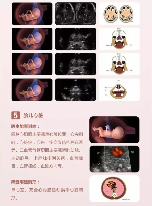 西安安琪兒婦產(chǎn)醫(yī)院 西安安琪兒婦產(chǎn)醫(yī)院