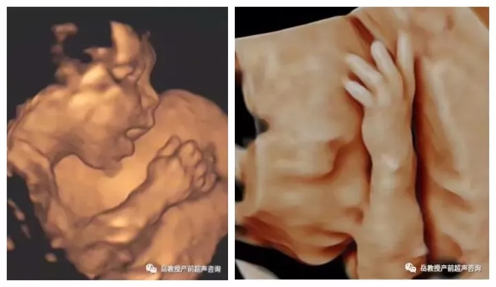 西安安琪兒婦產(chǎn)醫(yī)院