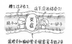 輸卵管通暢性和功能性評