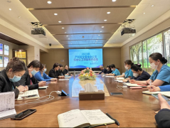 我院順利召開2023年產(chǎn)科安全管理辦公室及婦幼公共衛(wèi)生項目年度總結(jié)會議